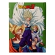 Dragon Ball Z - Cahier lumineux Cell Final Battle