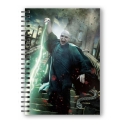 Harry Potter - Cahier effet 3D Voldemort Poster