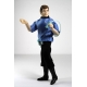 Star Trek TOS - Figurine McCoy 20 cm