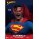 DC Comics - Figurine Dynamic Action Heroes 1/9 Superman 20 cm