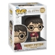 Harry Potter - Figurine POP! Harry w/The Stone 9 cm