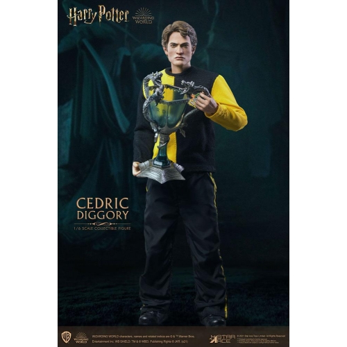 Harry Potter - Figurine My Favourite Movie 1/6 Cedric Diggory Triwizard Version 30 cm