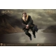Harry Potter - Figurine My Favourite Movie 1/6 Cedric Diggory Triwizard Version 30 cm