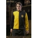 Harry Potter - Figurine My Favourite Movie 1/6 Cedric Diggory Triwizard Version 30 cm