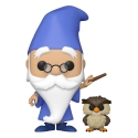 Merlin l'Enchanteur - Figurine POP! & Buddy Merlin w/Archimedes 9 cm