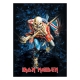 Iron Maiden - Puzzle The Trooper (1000 pièces)