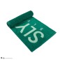Harry Potter - Serviette de bain Slytherin 140 x 70 cm Harry Potter - Serviette de bain Slytherin 140 x 70 cm