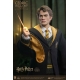 Harry Potter - Figurine My Favourite Movie 1/6 Cedric Diggory Deluxe Version 30 cm