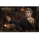 Harry Potter - Figurine My Favourite Movie 1/6 Cedric Diggory Deluxe Version 30 cm
