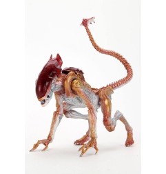 Alien - S figurine Panther  (Kenner Tribute) 23 cm