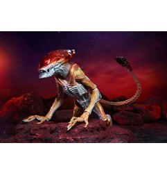 Alien - S figurine Panther  (Kenner Tribute) 23 cm