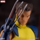 Marvel Universe - Figurine 1/12 Marvel Universe Wolverine Deluxe Steel Box Edition 16 cm
