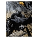 DC Comics - Puzzle Batman (1000 pièces)