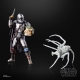 Star Wars The Mandalorian - Figurines Black Series 2021 Mandalorian & Grogu (Maldo Kreis) 15 cm