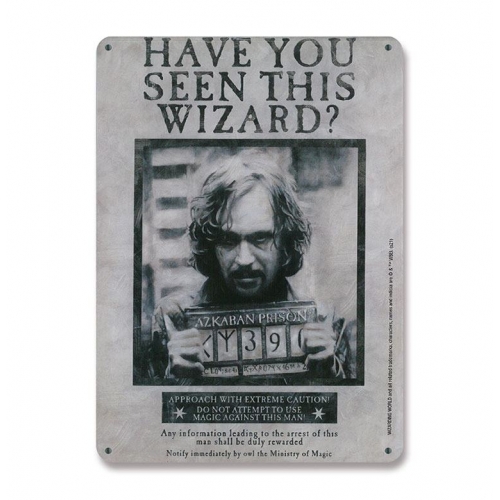 Harry Potter - Panneau métal Have You Seen This Wizard 15 x 21 cm