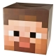 Minecraft - Tête de Steve en carton