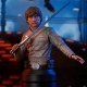 Star Wars Episode V - Buste 1/6 Luke Skywalker 15 cm